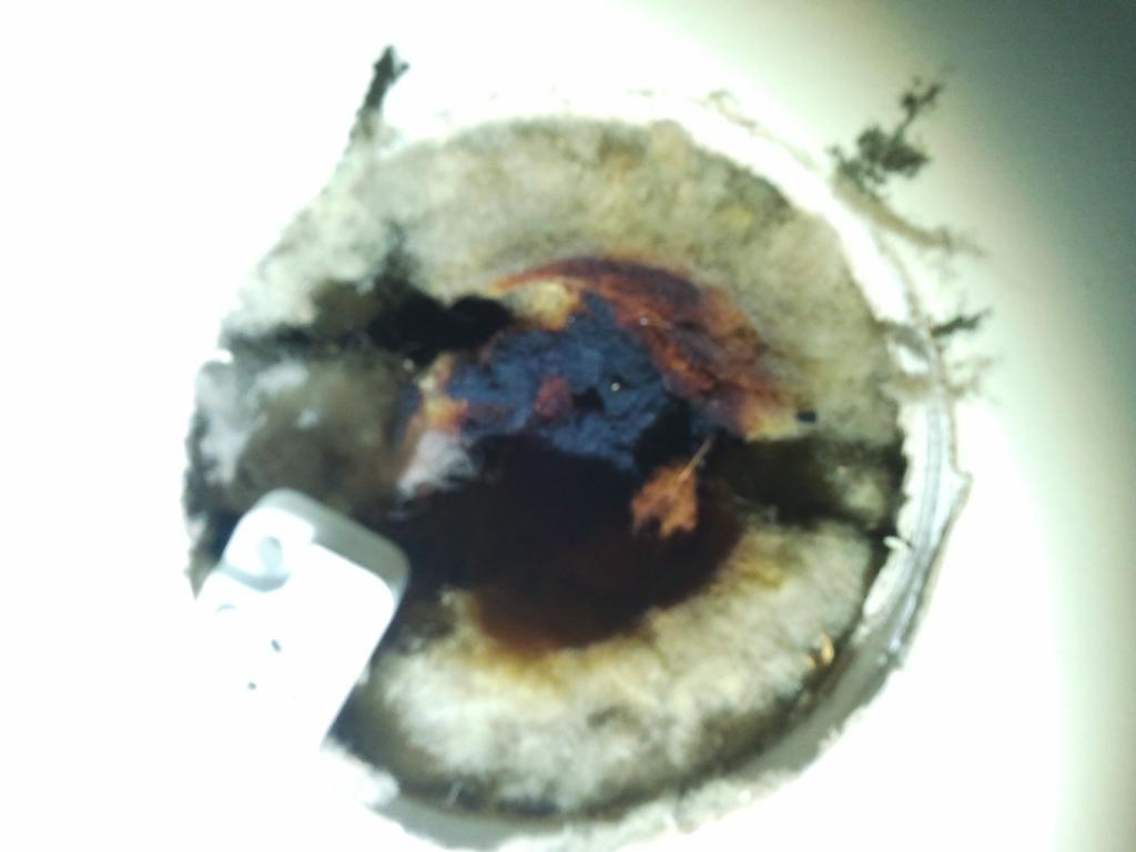 Downlight with Burned insulation