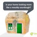 Mould in a home