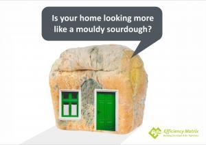 Mould in a home