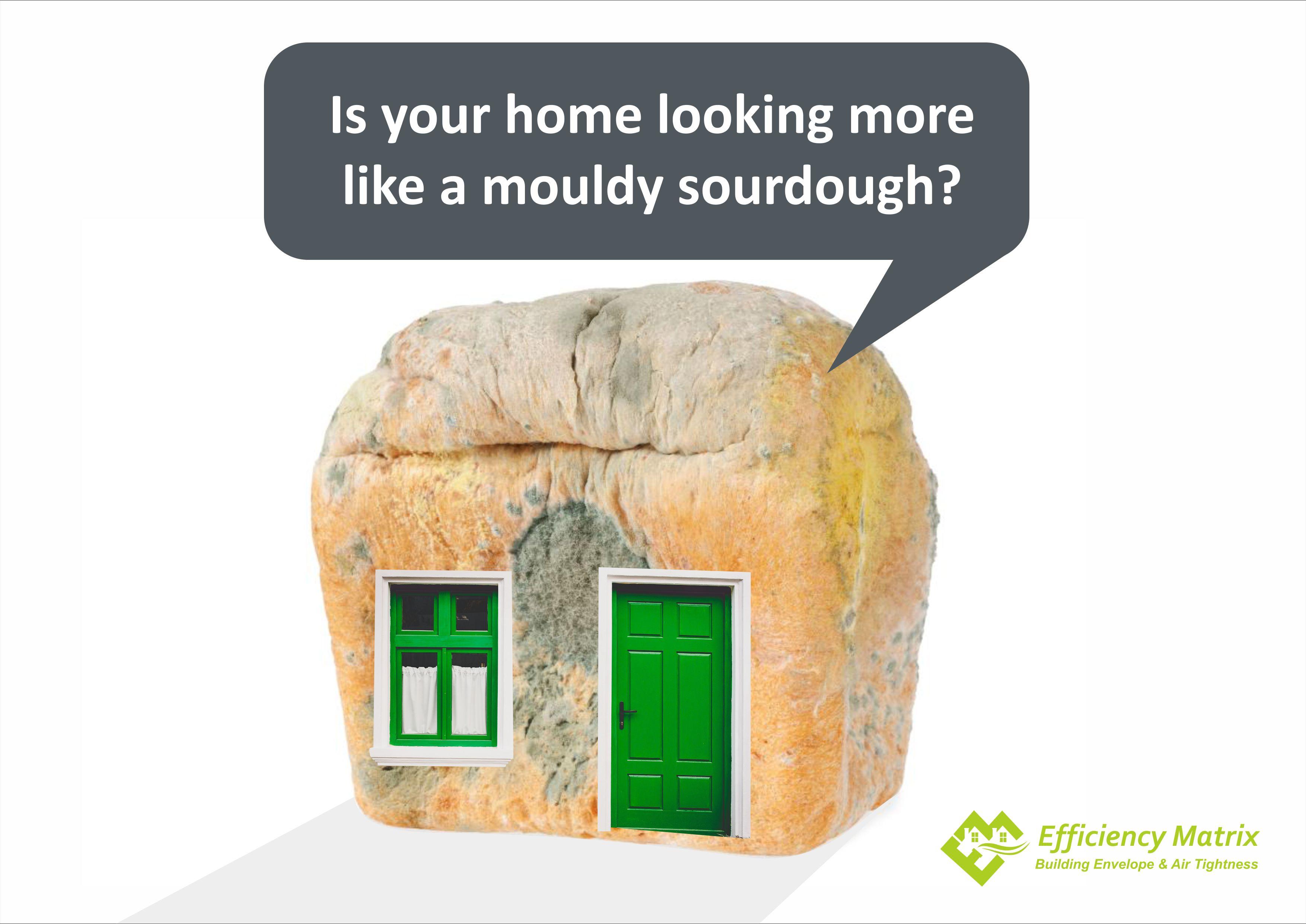 Mould in a home